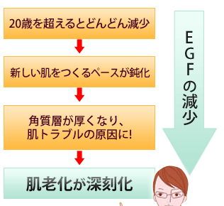 EGFの減少　20歳を超えるとどんどん減少　新しい肌をつくるペースが鈍化　角質層が厚くなり肌トラブルの原因に！　肌老化が深刻化