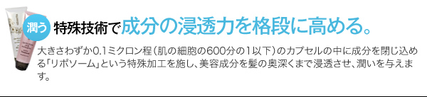 特殊技術で成分の浸透力を格段に高める。