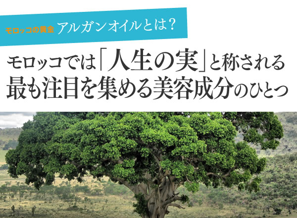 モロッコの黄金 アルガンオイルとは？ モロッコでは「人生の実」と称される最も注目を集める美容成分のひとつ