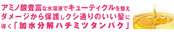 クシ通りのいい髪に導く「加水分解ハチミツタンパク」