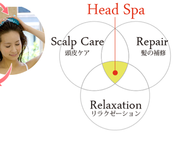Head Spa f}[ wbhXp