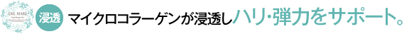 ZF}CNR[QZnEe͂T|[gB