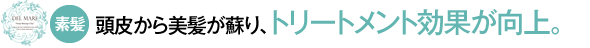 fF炩hAg[ggʂB	