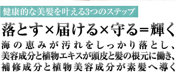 健康的な美髪を叶える3つのステップ　落とす×届ける×守る＝輝く