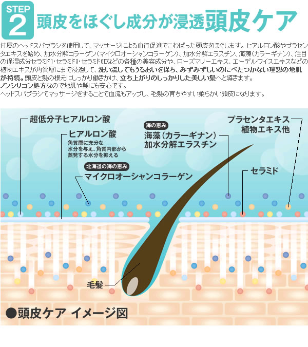 2.頭皮をほぐし成分が浸透頭皮ケア