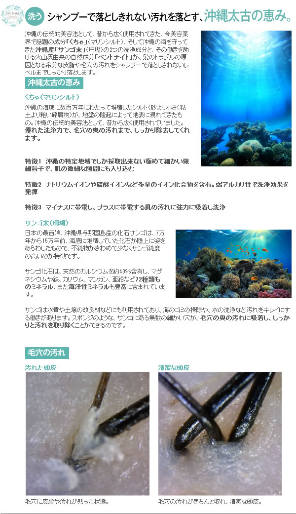 シャンプーで落としきれない汚れを落とす、沖縄太古の恵み。