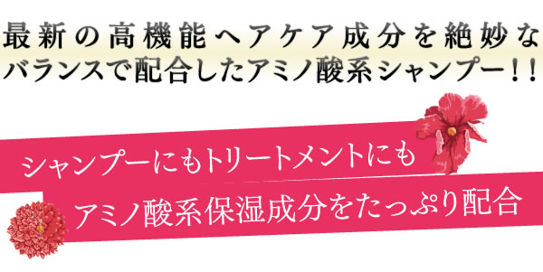 最新の高機能ヘアケア成分を絶妙なバランスで配合したアミノ酸系シャンプー！！