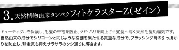 3.天然植物由来タンパクフィトケラスターZ（ゼイン）