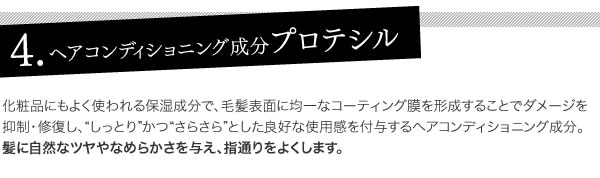 4.ヘアコンディショニング成分プロテシル